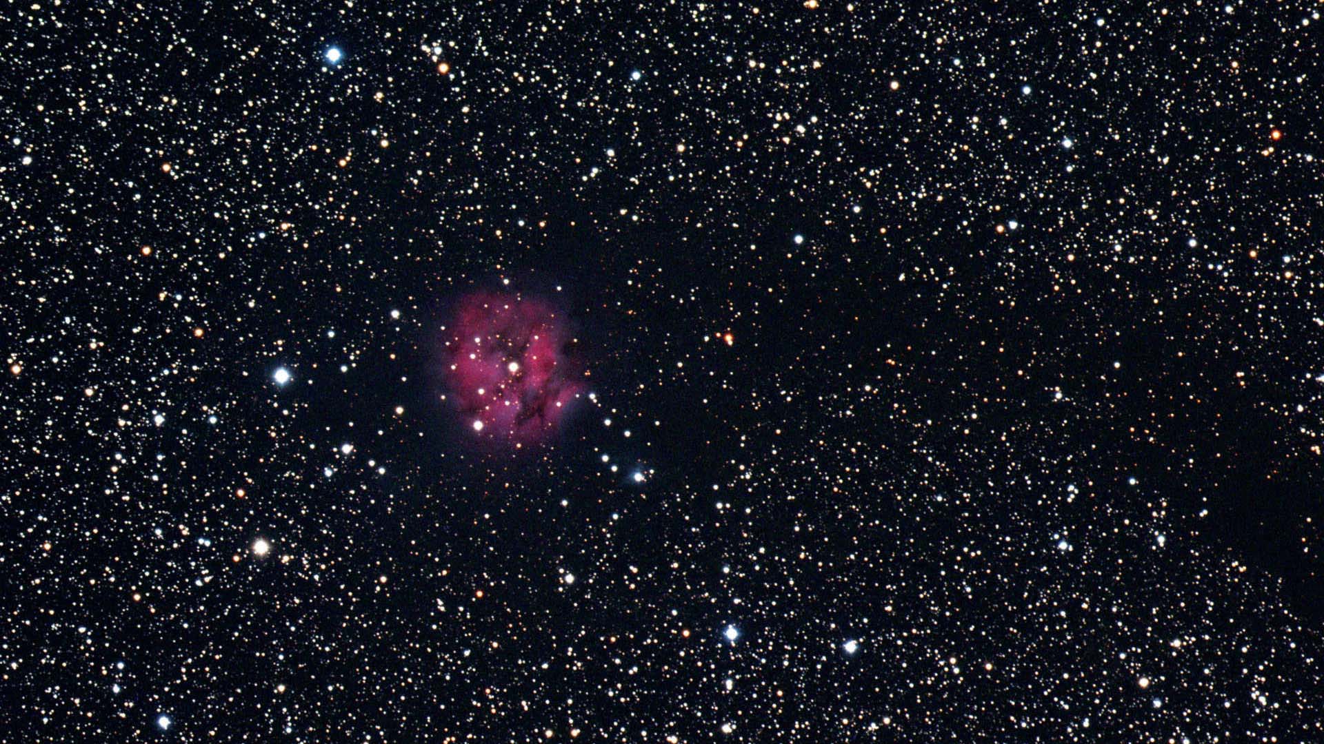 Aufnahme des Kokonnebels (IC5146) im Sternbild Schwan und ihre Entstehung: Die Ansicht ist eine Kombination der einzelnen Summenbilder
in den Farbkanälen zu einem Farbbild. U. Dittler