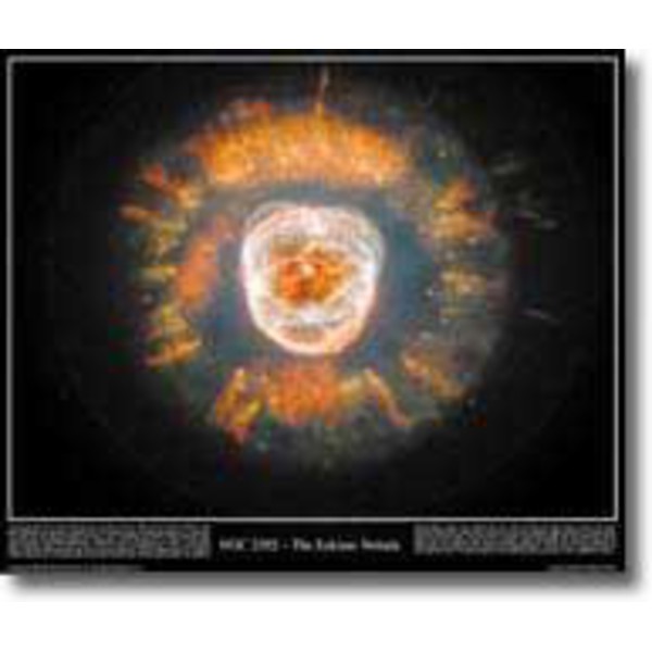 Affiche Eskimo Nebula
