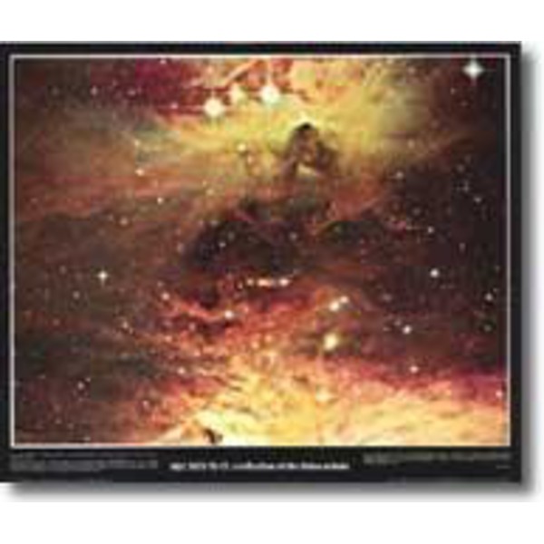 Affiche A Reflection of the Orion Nebula