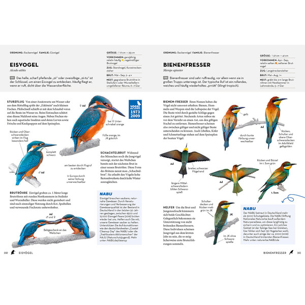 Kosmos Verlag Das NABU-Vogelbuch