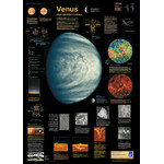 Planet Poster Editions Venus (Poster) - astroshop.de