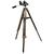 Achat de materiel d'astronomie