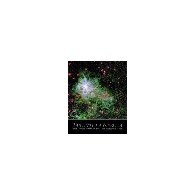 Affiche Tarantula Nebula