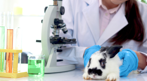 Médecine vétérinaire