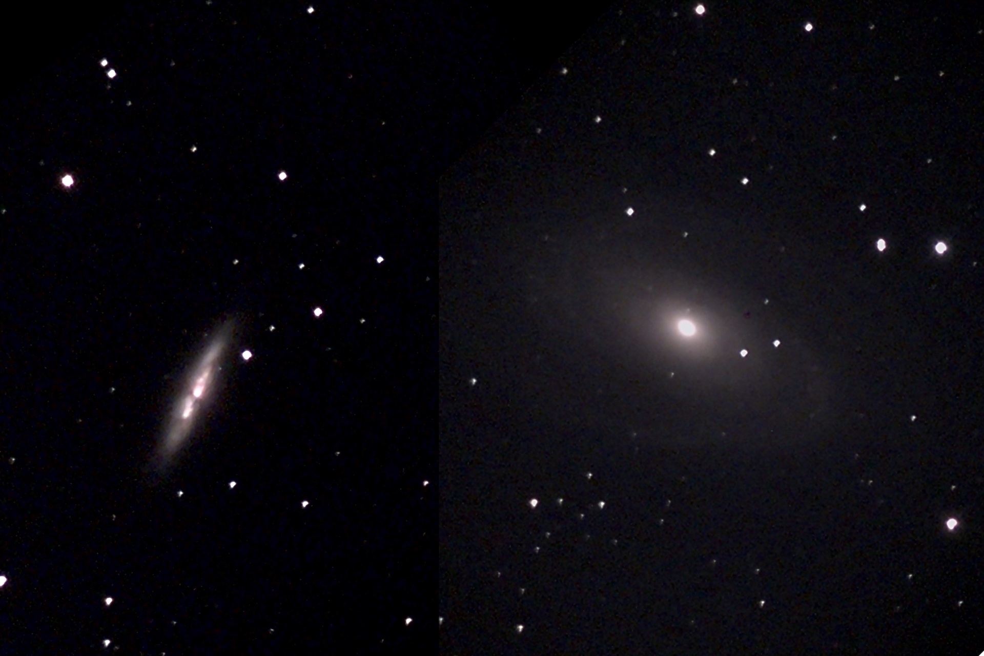 Messier 81 (rechts) und 82 (links), Komposit aus zwei Aufnahmen mit dem Unistellar eVscope. Foto: Marcus Schenk
