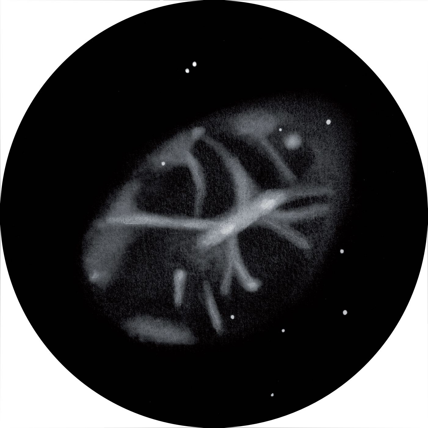 Zeichnung von Messier 1 mit einem 27" Newton-Teleskop
bei 366-facher Vergrößerung und mit einem [OIII]-Filter. Uwe Glahn
