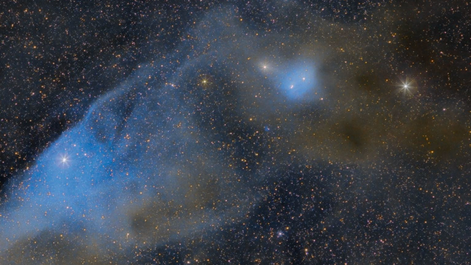 La « nébuleuse de la Tête de Cheval bleue » IC 4592 dans le Scorpion (le nord est en bas). ν Scorpii se trouve sur l’arête du nez de la tête et assure la coloration bleuâtre. Au-dessous des « oreilles », on peut également détecter la nébuleuse bleuâtre IC 4601. Scott Rosen.