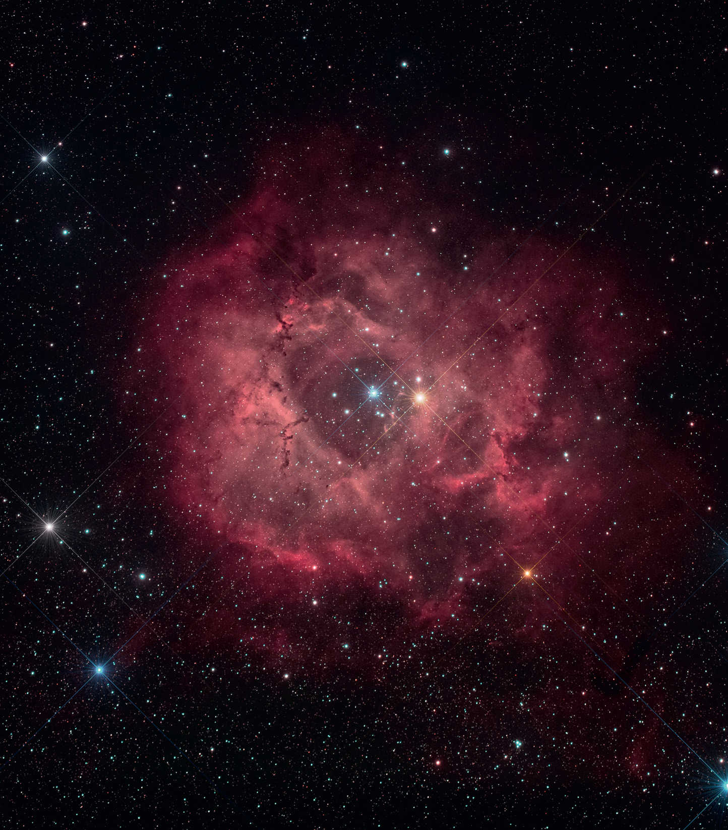 Bild des Rosettennebels (NGC 2244). Summenbild aus 14 Aufnahmen mit einer Belichtungszeit
von je 300 Sekunden (ISO 1600; Gesamtbelichtungszeit: 70 Minuten). Weitere Daten wie in Abb. 1. U. Dittler
