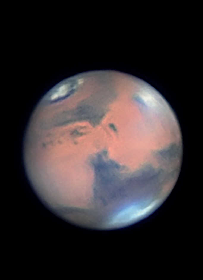 Photo de la planète Mars. La photo montre nettement des nuages dans la zone du grand volcan bouclier Elysium Mons. On voit très nettement aussi la calotte polaire du nord très fortement fondue. Mario Weigand