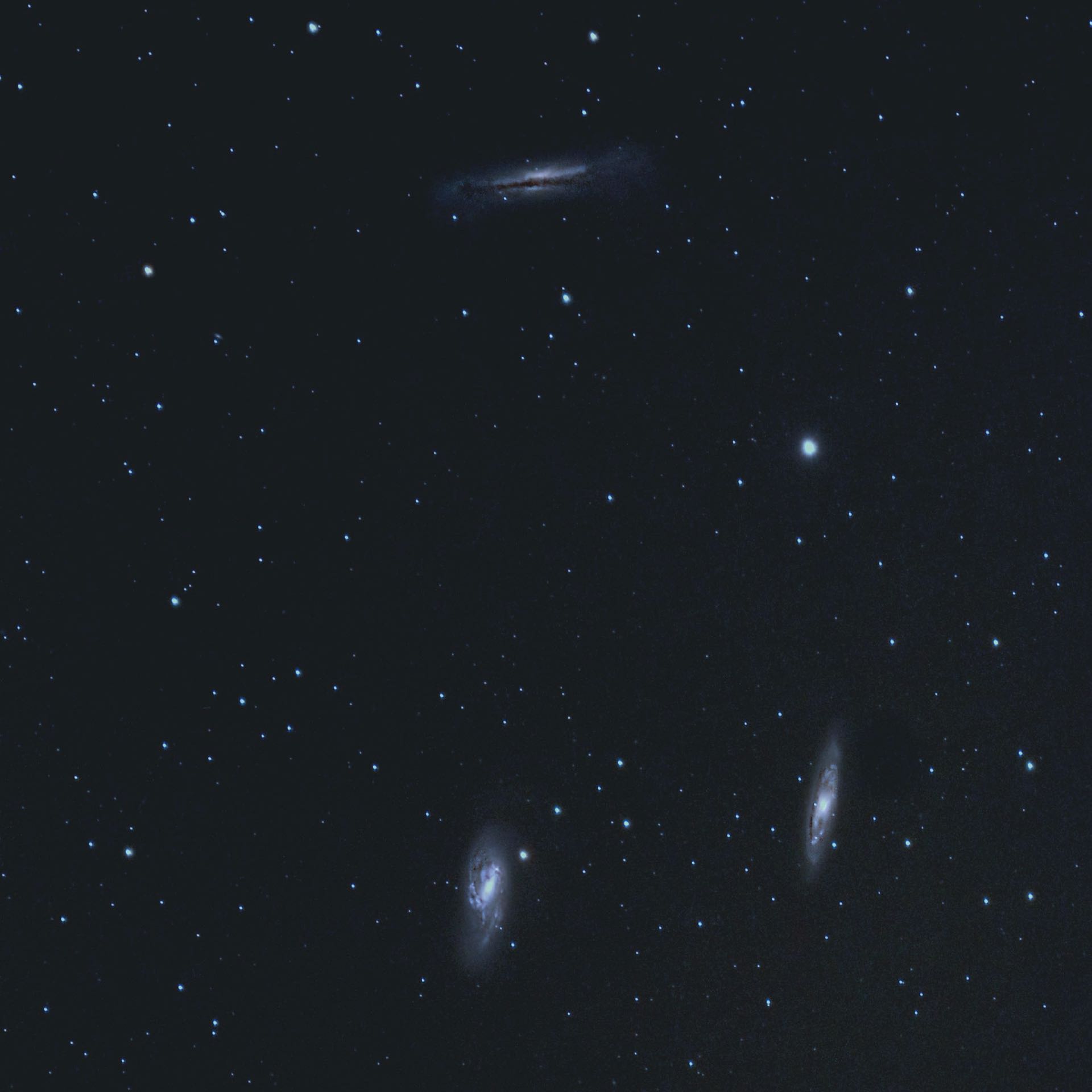 Zwei Glanzlichter und eine Herausforderung: M 66 (unten links), M 65 und NGC 3628 (oben). H. Fischer