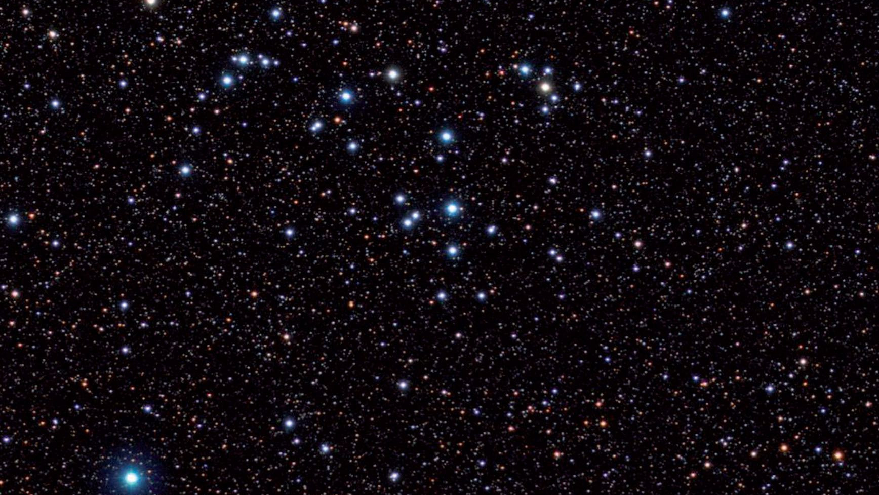 NGC 6633 besticht durch die vielen Sterne ähnlicher Helligkeit. Herbert Walter / CCD Guide