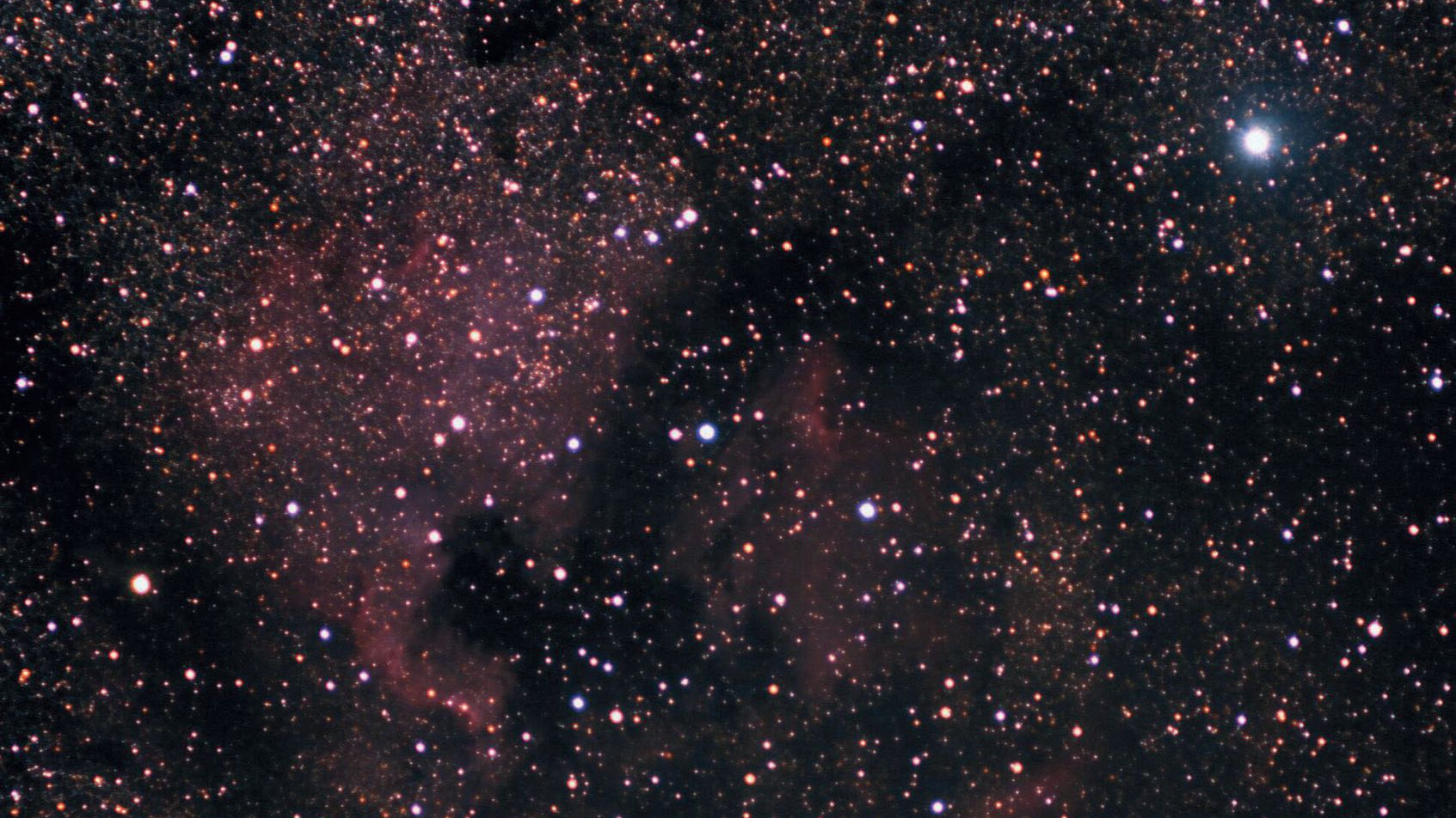 Au sud-est de Deneb (étoile lumineuse en haut à droite) se trouve l’une des plus belles nébuleuses gazeuses, la nébuleuse de l’Amérique du Nord, NGC 7000. La Mini-Orion se détecte à gauche du centre de la photo ou à l’est du Golfe du Mexique. Marcus Degenkolbe