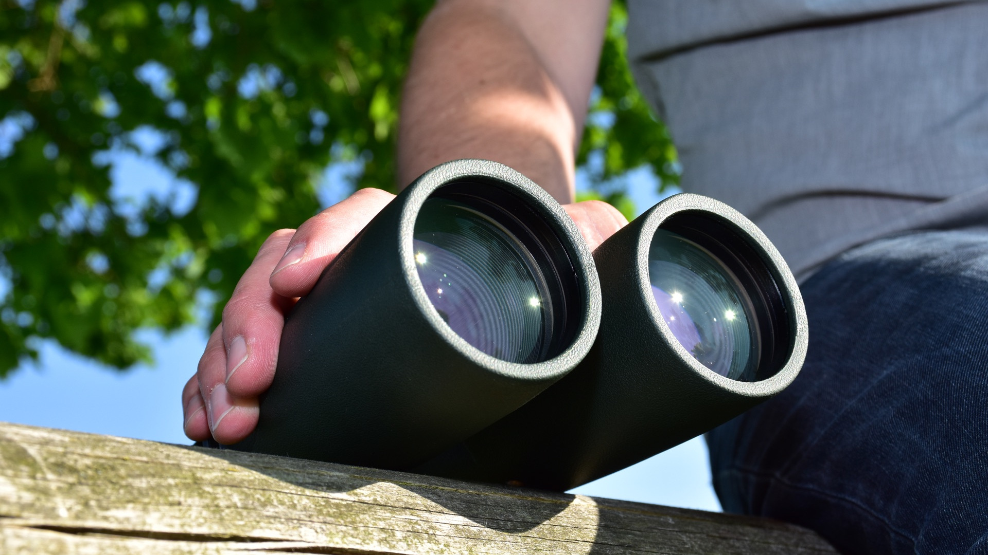 Un fidèle compagnon de votre nuit d’observation sur votre site préféré