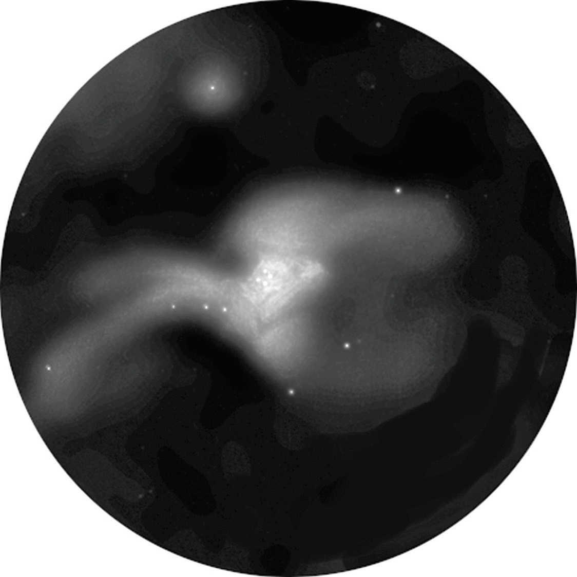 Auch im Teleskop ist der Orionnebel
ein wunderbares Objekt: Anblick von M 42 in einem
Reflektor mit 150mm Öffnung. L. Spix