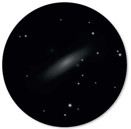 Spix Spechteltipps Leckerbissen Messier 31