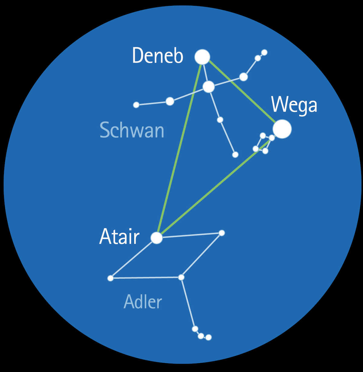 En été, le Triangle d’été est très visible dans le ciel. L. Spix