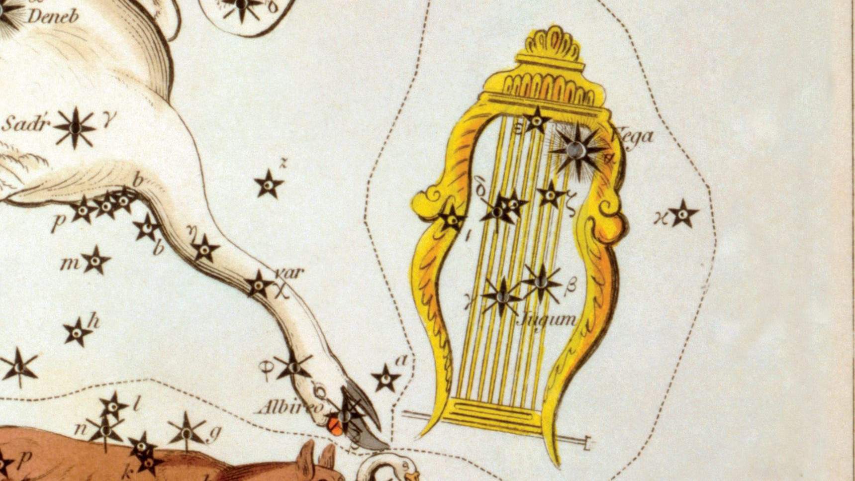 Eine alte Darstellung des Sternbilds Leier mit seinem Hauptstern Wega, einem der
Eckpunkte des Sommerdreiecks.