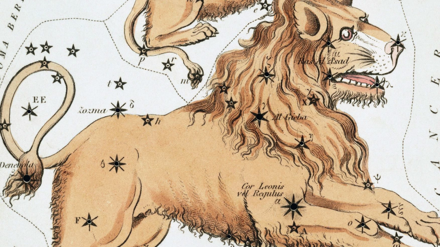 Le Lion
