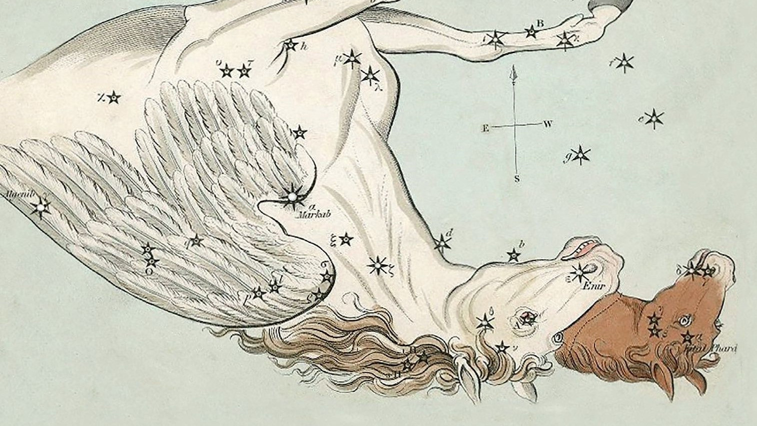 D’anciennes représentations montrent comment le cheval ailé tombe du ciel tête en bas. La petite tête de cheval, à sa droite, fait partie de la constellation du Petit Cheval. Elle représente le Poulain Celeris, qui aurait été le fil ou le frère de Pégase.