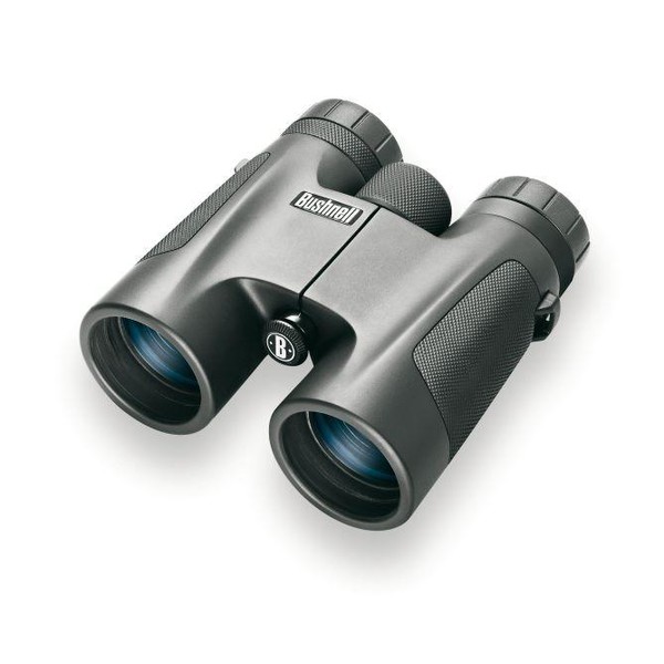 Jumelles Bushnell PowerView 10x32, Prismes en Toit