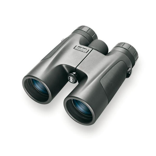 Bushnell Fernglas PowerView 8x42, Dachkant