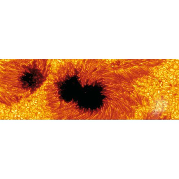 Affiche Palazzi Verlag Sun Spots