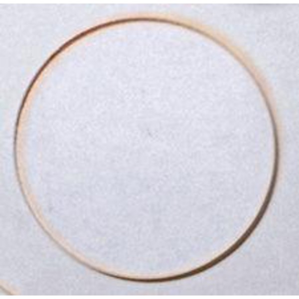 Astrodon Lentille grossisante 18mm  pour Monster et Mega Off-Axis Guider
