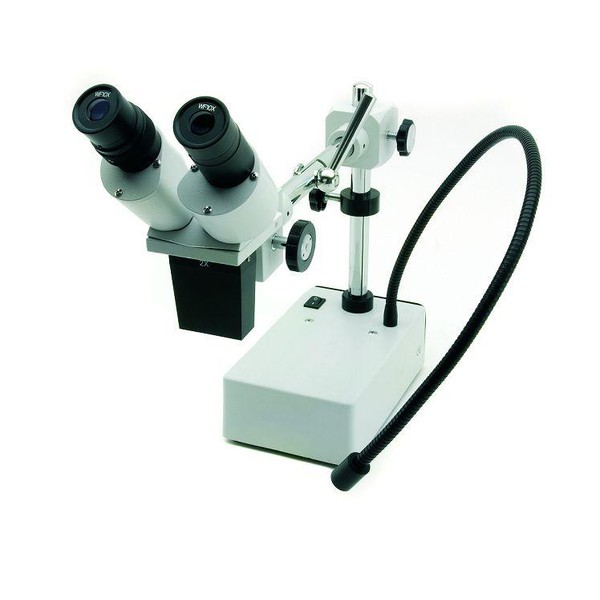 Windaus Microscope binoculaire HPS 50, avec éclairage LED en col de cygne