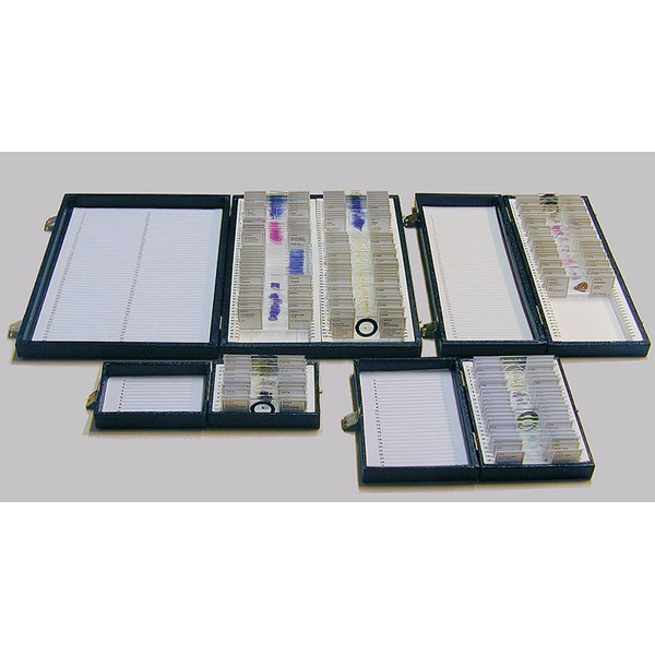 Windaus Coffret de rangement, modèle standard, pour 100 préparations