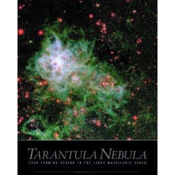 Affiche Tarantula Nebula