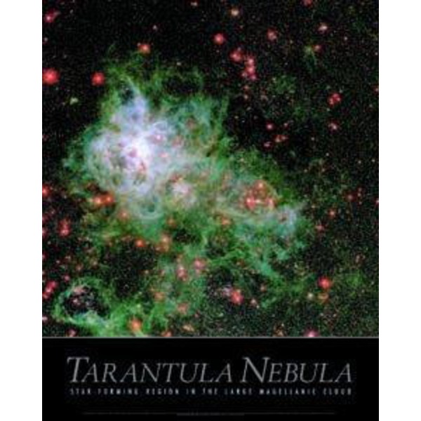 Poster Tarantula Nebula