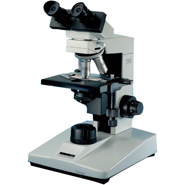 Microscope Hund H 600 Wilo-Prax Achro, bino, 40x - 1000x