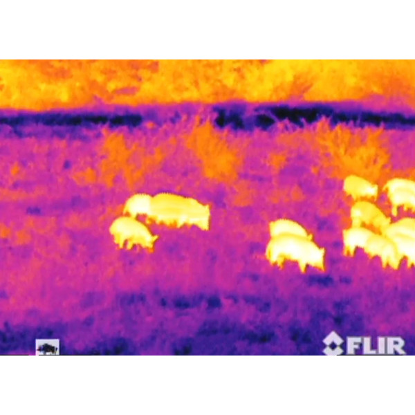 Armasight Thermalkamera Helios 336 HD 30 Hz 8-32x100