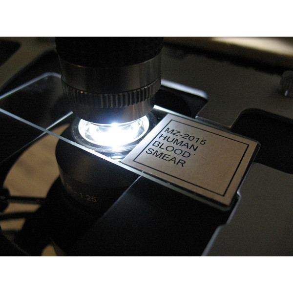 Optika Microscope plan trinoculaire B-383DK à champ obscur, X-LED