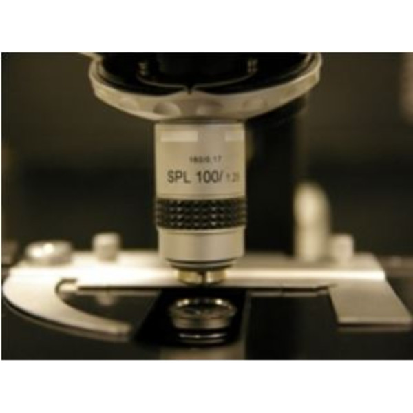 Hund Microscope à champ obscur , H 600 LL HP 100