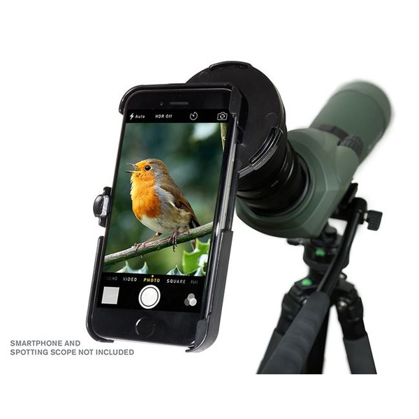 Celestron Smartphone-Adapter Regal für iPhone 6+