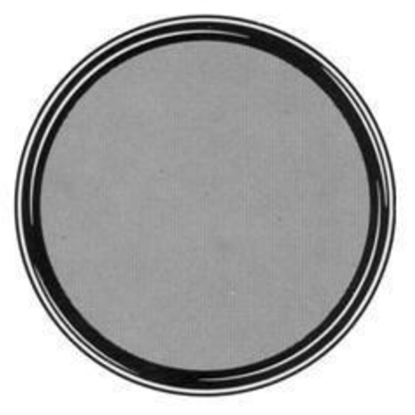 TS Optics Filtre de couleurs gris 2'' (13% transmission)