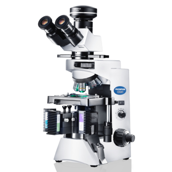 Evident Olympus Mikroskop CX41 Mikrobiologie, phase, trino, Hal, 40x,100x, 400x