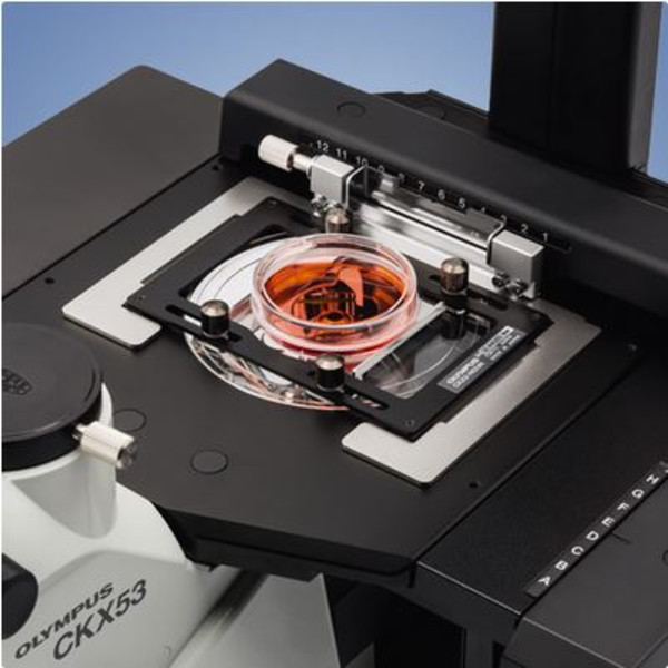 Microscope inversé Evident Olympus CKX53, trino, 100x, 200x, 400x, IPC/IVC x/y-stage