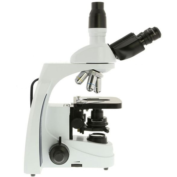 Microscope Euromex iScope IS.1153-PLPH, PH, trino, DIN, plan, 100x-1000x, LED, 3W