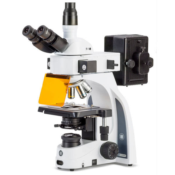 Microscope Euromex iScope, IS.3153-PLi/3, trino