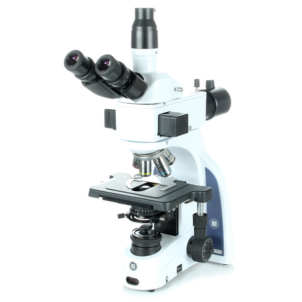 Microscope Euromex iScope IS.3153-PLi/LG, trino