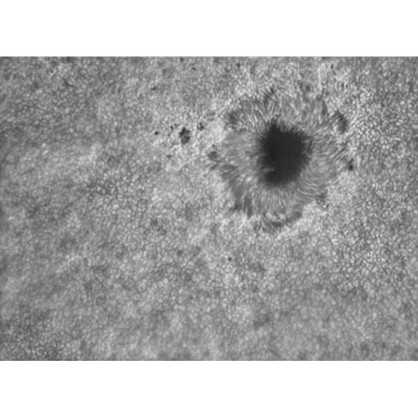 TS Optics Prisme de Herschel avec filtre polarisant et filtre à bande étroite 1,25"