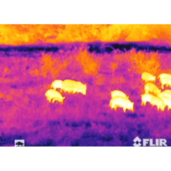 Armasight Thermalkamera Command 336, 5-20x75 (60 Hz)