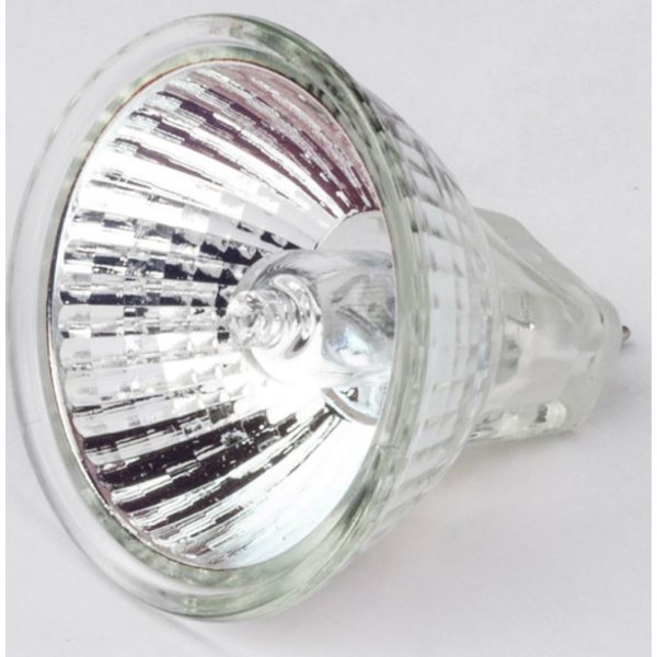 Motic Halogen-Ersatzlampe 12V/10W für R2GG-Stativ (Auflicht) (SMZ-161)