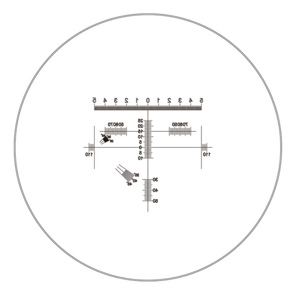 Motic Oculaire micromètre WF10X/23 mm, analyseur de proportion de diamant