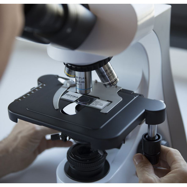 Microscope Optika B-510BF, brightfield, trino, W-PLAN IOS, 40x-1000x, EU