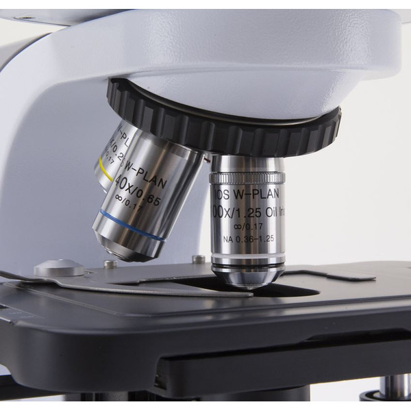 Microscope Optika Mikroskop B-510DKIVD, trino, darkfield, W-PLAN IOS, W-PLAN, 40x-1000x, IVD