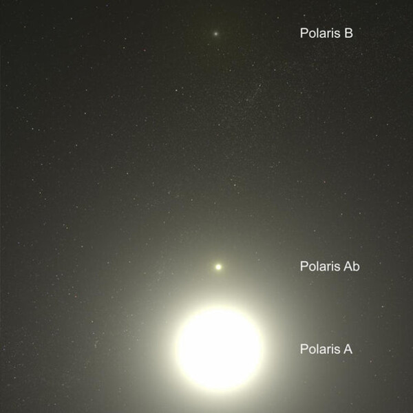 Celestial Buddies Polaris Ab und Polaris B