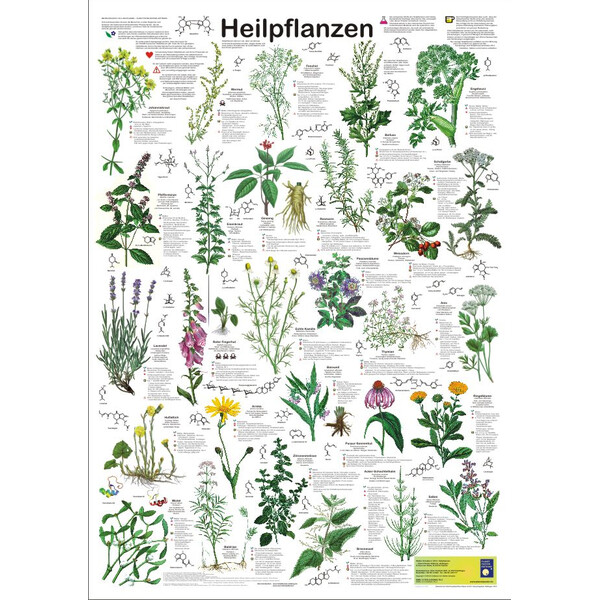 Affiche Planet Poster Editions Heilpflanzen